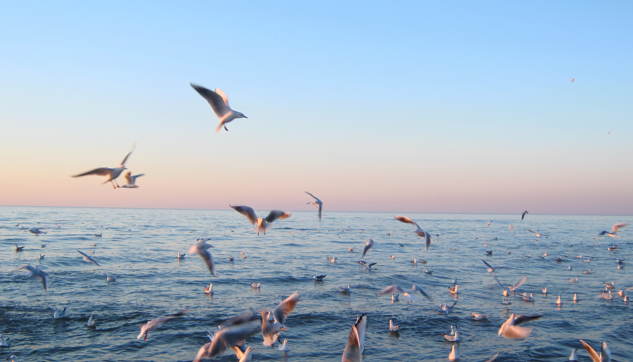 IMG_20260820_143626.png