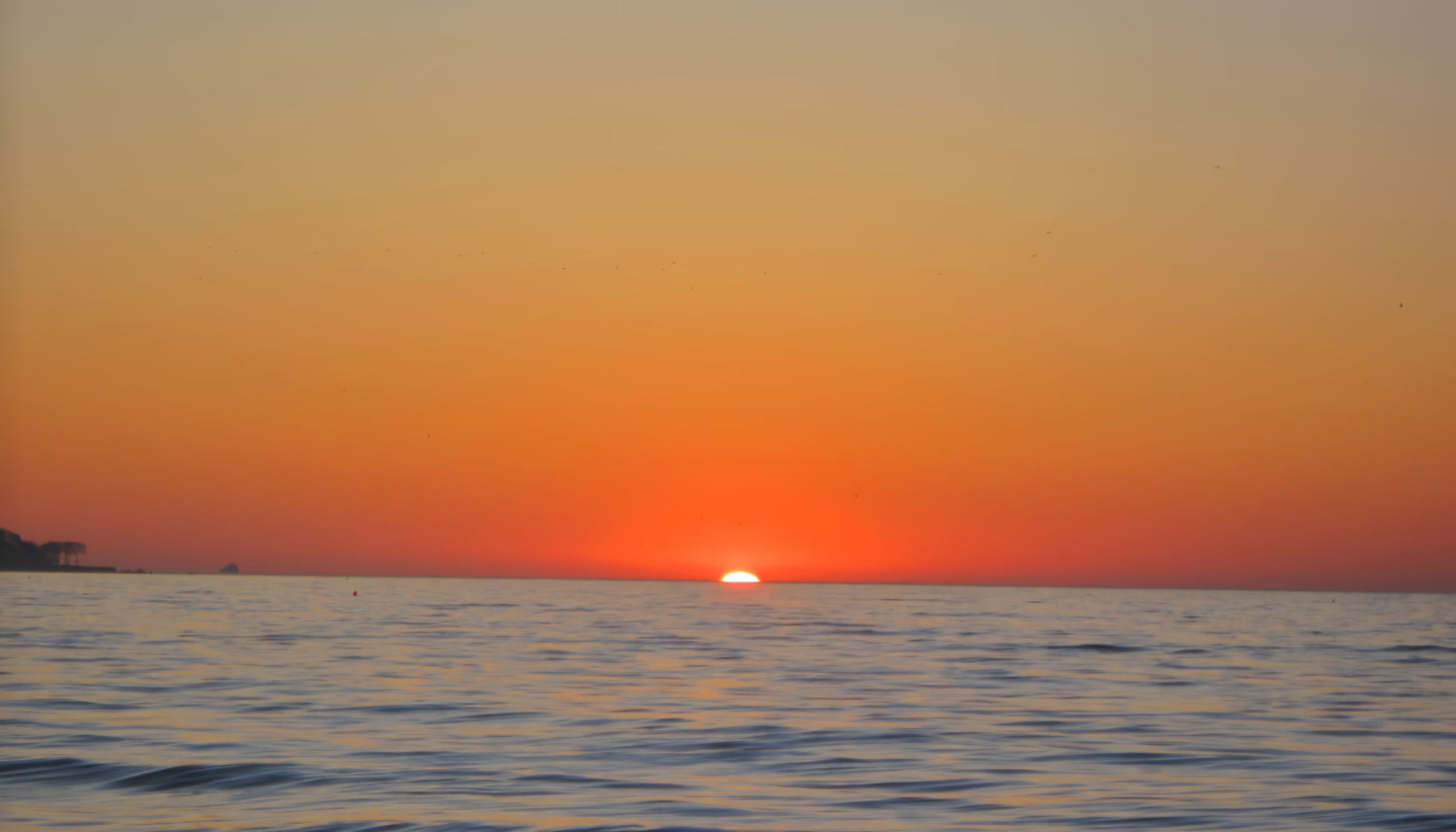 IMG_20260820_143637.png
