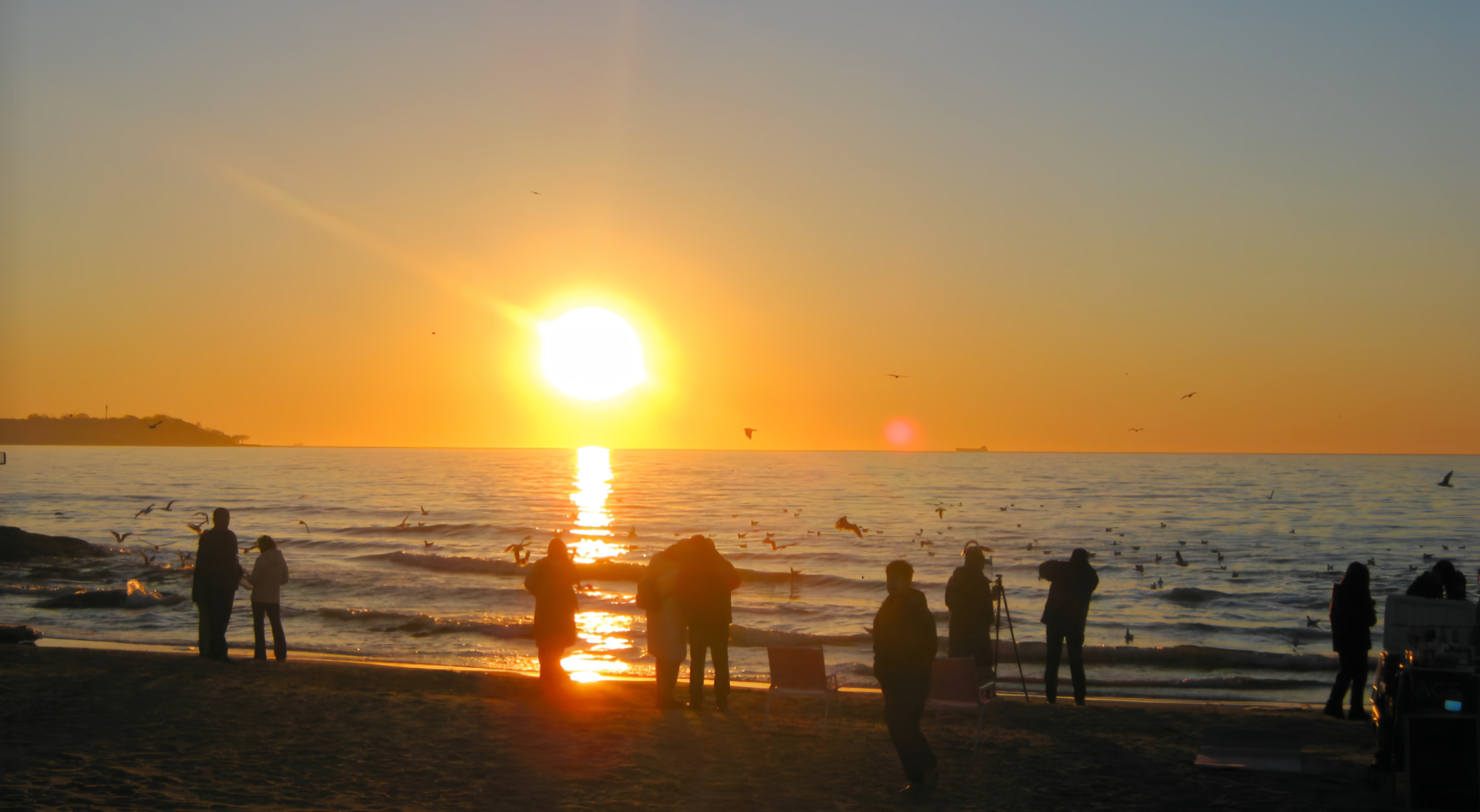 IMG_20260820_143648.png